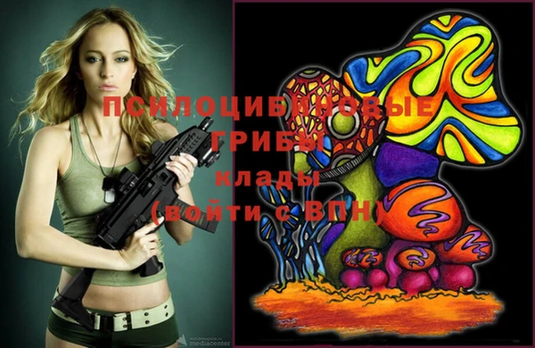 шишки Баксан