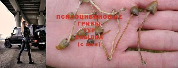 стафф Балахна