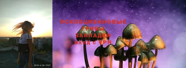 стафф Балахна