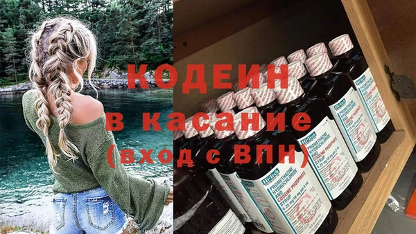 шишки Баксан