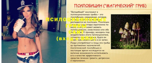 шишки Баксан