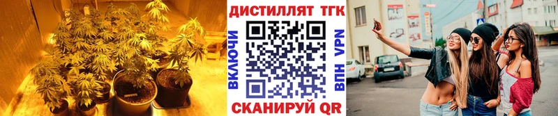ТГК концентрат  Котельниково 