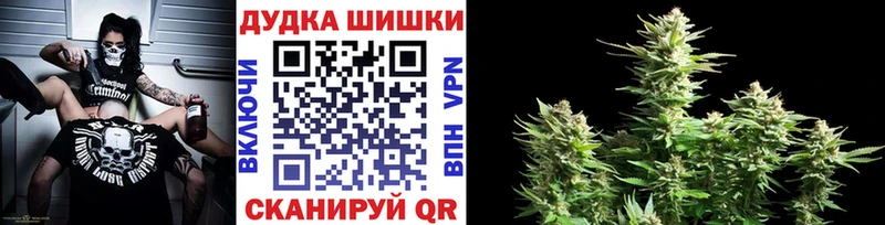 Каннабис сатива Котельниково